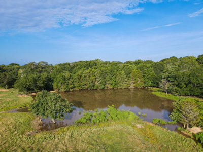 Land For Sale Fannin County Texas Bonham Telephone Hunting - image 31