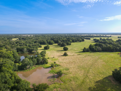 Land For Sale Fannin County Texas Bonham Telephone Hunting - image 1