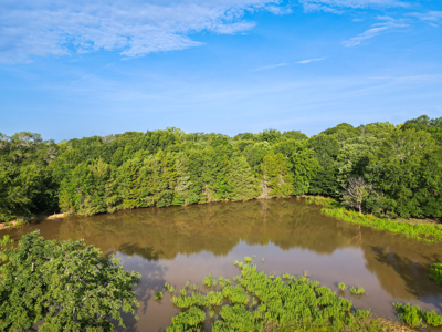 Land For Sale Fannin County Texas Bonham Telephone Hunting - image 30
