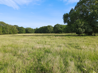 Land For Sale Fannin County Texas Bonham Telephone Hunting - image 19
