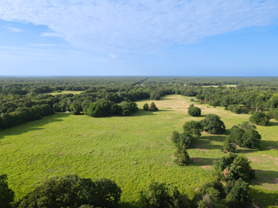 Land For Sale Fannin County Texas Bonham Telephone Hunting - image 20