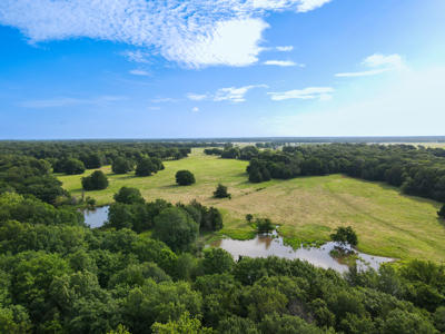 Land For Sale Fannin County Texas Bonham Telephone Hunting - image 27