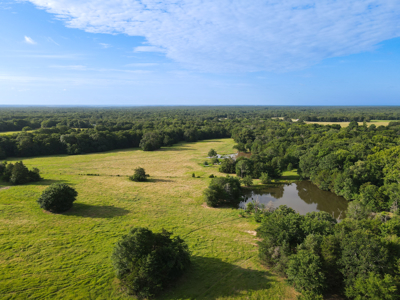 Land For Sale Fannin County Texas Bonham Telephone Hunting - image 22