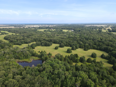 Land For Sale Fannin County Texas Bonham Telephone Hunting - image 11
