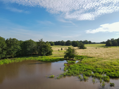 Land For Sale Fannin County Texas Bonham Telephone Hunting - image 33