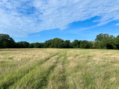 Land For Sale Fannin County Texas Bonham Telephone Hunting - image 18