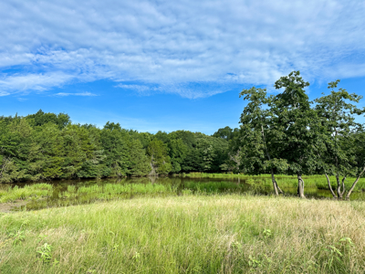 Land For Sale Fannin County Texas Bonham Telephone Hunting - image 2