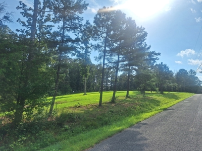 Land for Sale in Lewis County, Tennessee - image 5