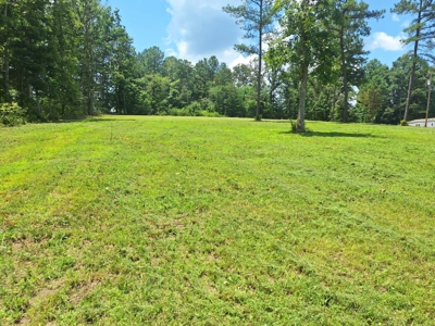 Land for Sale in Lewis County, Tennessee - image 4