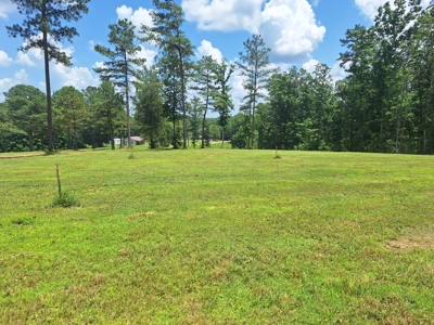 Land for Sale in Lewis County, Tennessee - image 2