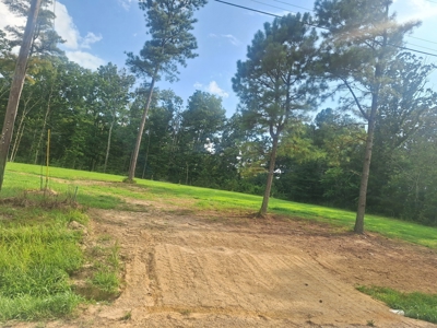 Land for Sale in Lewis County, Tennessee - image 7