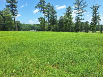 Land for Sale in Lewis County, Tennessee - image 1