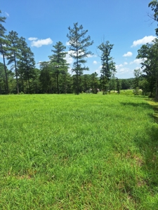 Land for Sale in Lewis County, Tennessee - image 8