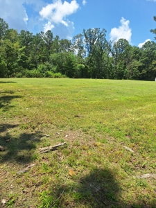 Land for Sale in Lewis County, Tennessee - image 9
