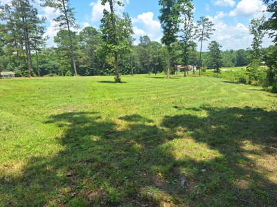 Land for Sale in Lewis County, Tennessee - image 6
