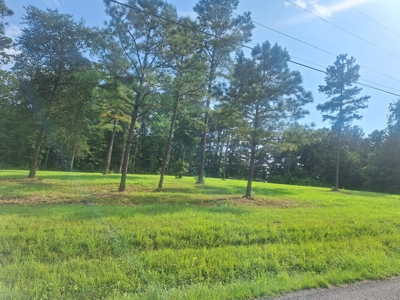 Land for Sale in Lewis County, Tennessee - image 3