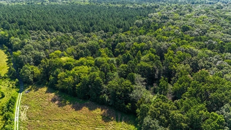 Own Your Slice of Paradise: Kerr Lake Waterfront Beauty - image 3