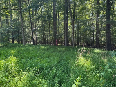 Own Your Slice of Paradise: Kerr Lake Waterfront Beauty - image 1