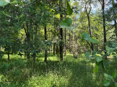 Own Your Slice of Paradise: Kerr Lake Waterfront Beauty - image 10