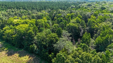 Own Your Slice of Paradise: Kerr Lake Waterfront Beauty - image 6