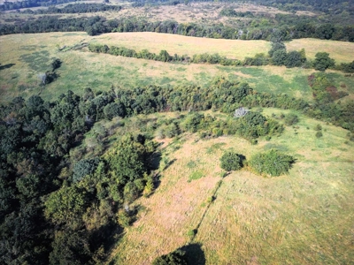 Missouri Ozarks Cattle Ranch with Hay Ground - image 24