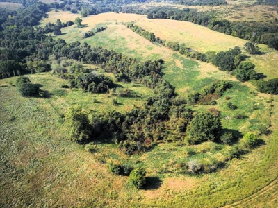 Missouri Ozarks Cattle Ranch with Hay Ground - image 12