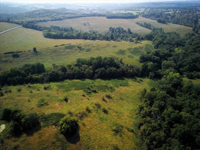 Missouri Ozarks Cattle Ranch with Hay Ground - image 15
