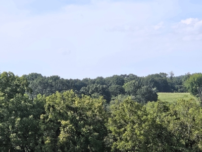 Missouri Ozarks Cattle Ranch with Hay Ground - image 17