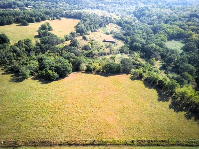 Missouri Ozarks Cattle Ranch with Hay Ground - image 8