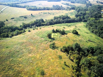 Missouri Ozarks Cattle Ranch with Hay Ground - image 21