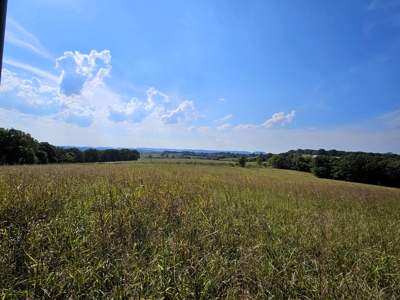 Missouri Ozarks Cattle Ranch with Hay Ground - image 18