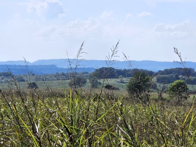 Missouri Ozarks Cattle Ranch with Hay Ground - image 31