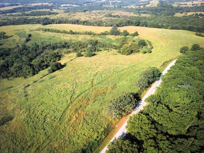 Missouri Ozarks Cattle Ranch with Hay Ground - image 25