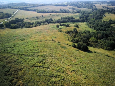 Missouri Ozarks Cattle Ranch with Hay Ground - image 19