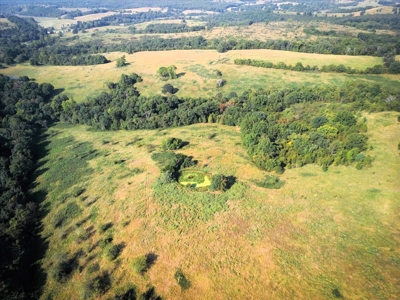 Missouri Ozarks Cattle Ranch with Hay Ground - image 22