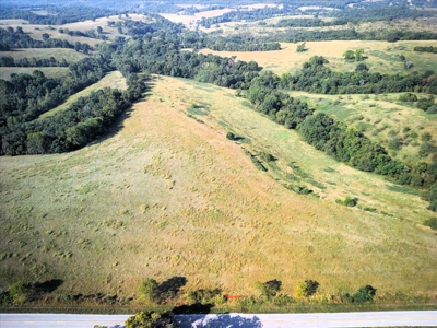 Missouri Ozarks Cattle Ranch with Hay Ground - image 5