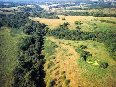 Missouri Ozarks Cattle Ranch with Hay Ground - image 23