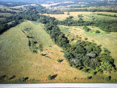 Missouri Ozarks Cattle Ranch with Hay Ground - image 11