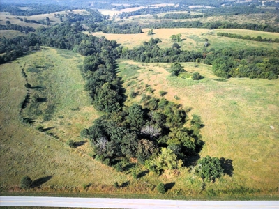 Missouri Ozarks Cattle Ranch with Hay Ground - image 6