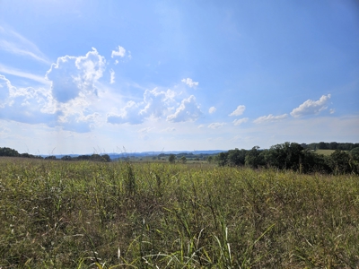 Missouri Ozarks Cattle Ranch with Hay Ground - image 28