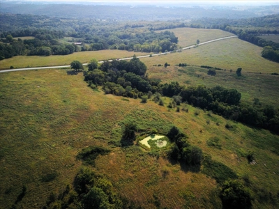 Missouri Ozarks Cattle Ranch with Hay Ground - image 14