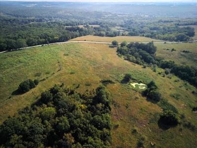 Missouri Ozarks Cattle Ranch with Hay Ground - image 16