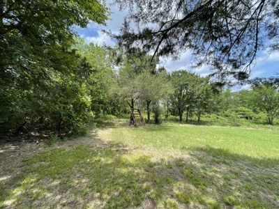 Sardis Lake property: Lake House with outbuildings - image 7