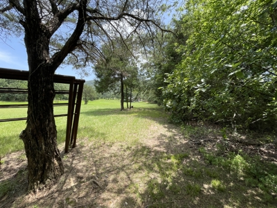 Sardis Lake property: Lake House with outbuildings - image 10
