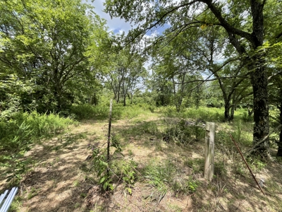 Sardis Lake property: Lake House with outbuildings - image 8