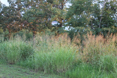 2 Lots Bordering Corps on Bull Shoals Lake with Spectacular View - image 4