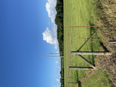 7 Acres - Ideal for Ranchette or Farm Life | Vermilion Parish, LA - image 5