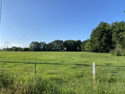 7 Acres - Ideal for Ranchette or Farm Life | Vermilion Parish, LA - image 4