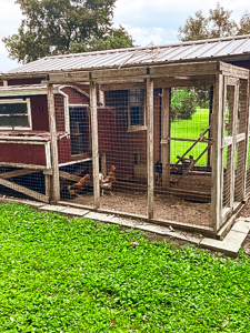 Charming Country Home on Nearly 3 Acres - image 29