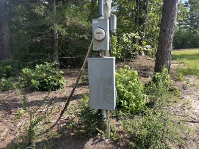 Reed Ranch - East Texas Hunting & Timber Property - image 44